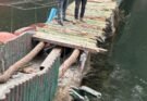 अनदेखी: सातताल में जर्जर पुल से बढ़ा हादसे का खतरा, प्रशासन से कार्रवाई की मांग