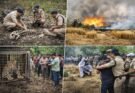 बड़ी घटनाएं: बाघ का कंकाल मिलने से सनसनी, गुलदार का आतंक, आग से फसल तबाह और जमीन विवाद में हत्या