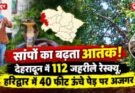 सांपों का बढ़ता आतंक! देहरादून में 112 जहरीले रेस्क्यू, हरिद्वार में 40 फीट ऊंचे पेड़ पर अजगर
