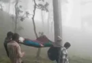 वीडियो: भीमताल में आज भी डोली का सहारा! बीमार महिला को 8 किमी कंधों पर ले गए ग्रामीण